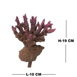 AQUARIUM ARTIFICIAL CORAL H079(8 COLOR)