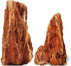 CHICKEN BONE STONE