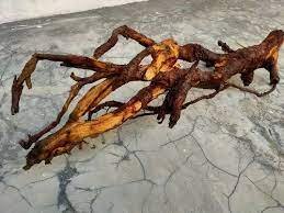 DRIFT WOOD 2 TO 6FT LENGTH